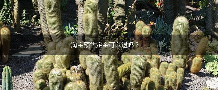 淘宝预售定金可以退吗？,第1张
