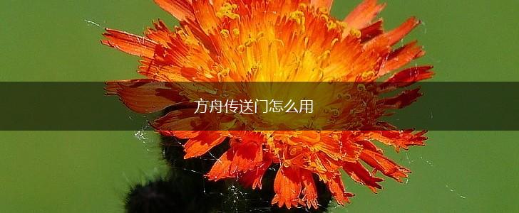 方舟传送门怎么用,第1张