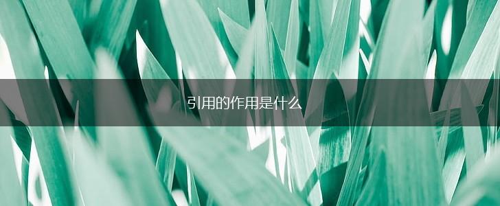 引用的作用是什么,第1张