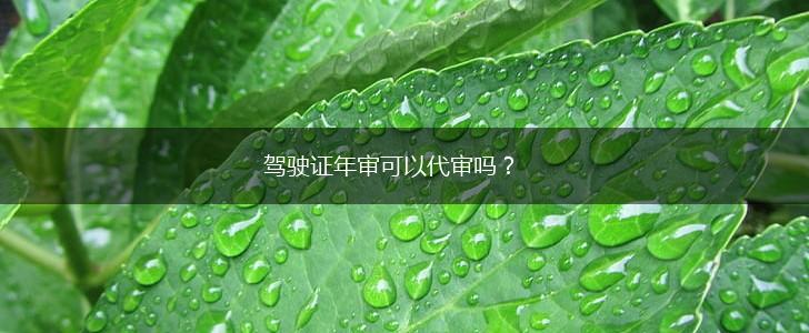 驾驶证年审可以代审吗？,第1张
