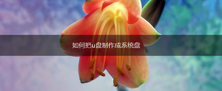 如何把u盘制作成系统盘,第1张