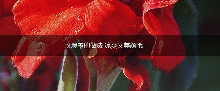 玫瑰露的做法 凉爽又美颜哦,第1张