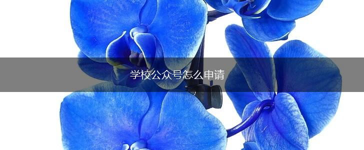 学校公众号怎么申请,第1张