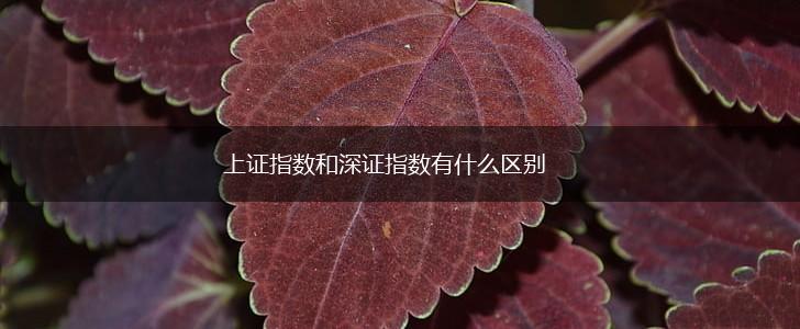 上证指数和深证指数有什么区别,第1张