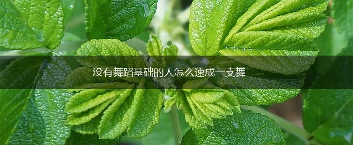没有舞蹈基础的人怎么速成一支舞,第1张