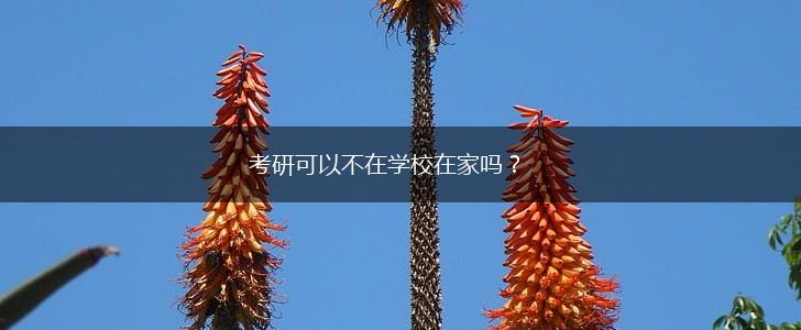 考研可以不在学校在家吗？,第1张