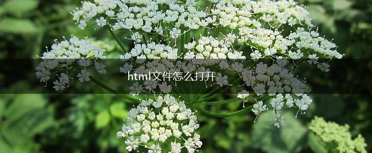 html文件怎么打开,第1张