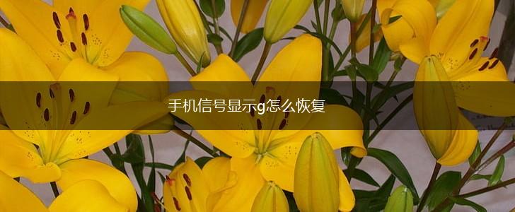 手机信号显示g怎么恢复,第1张