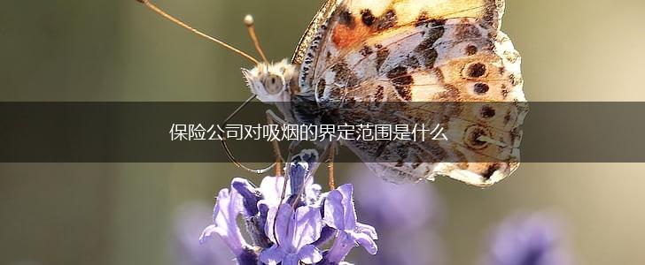 保险公司对吸烟的界定范围是什么,第1张