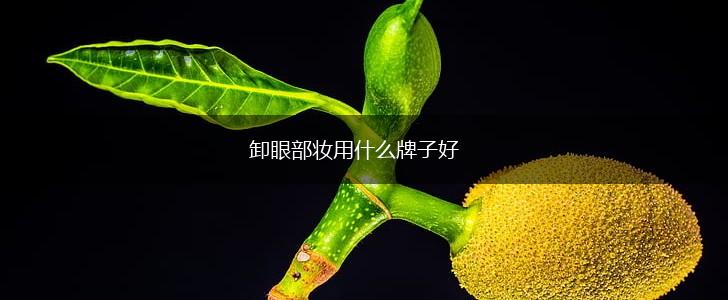 卸眼部妆用什么牌子好,第1张