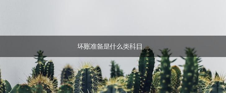 坏账准备是什么类科目,第1张