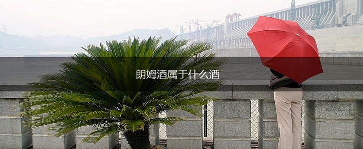 朗姆酒属于什么酒,第1张