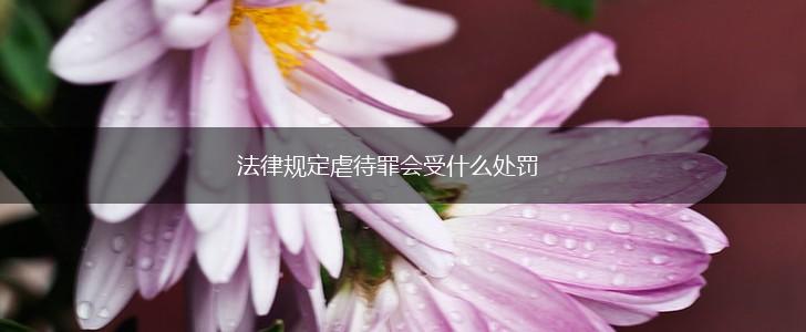 法律规定虐待罪会受什么处罚,第1张 法律规定虐待罪会受什么处罚,第1张
