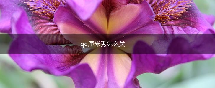 qq厘米秀怎么关,第1张
