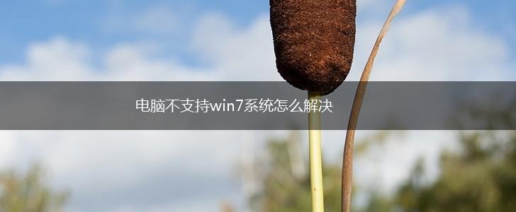电脑不支持win7系统怎么解决,第1张