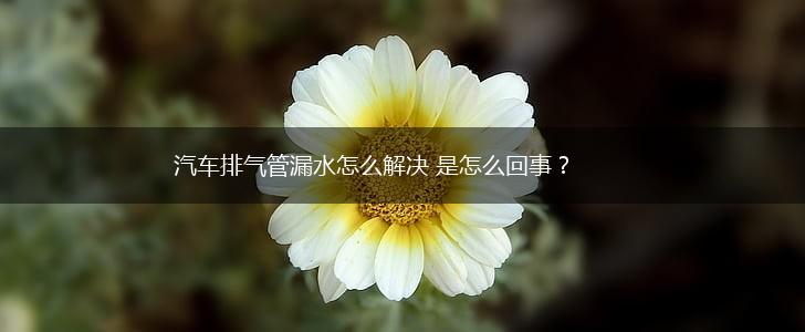 汽车排气管漏水怎么解决 是怎么回事？,第1张