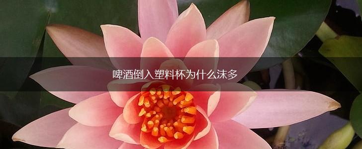 啤酒倒入塑料杯为什么沫多,第1张