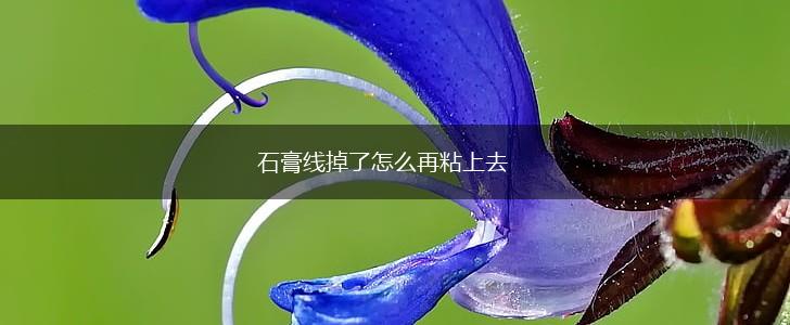 石膏线掉了怎么再粘上去,第1张