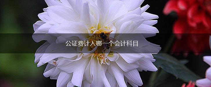 公证费计入哪一个会计科目,第1张 公证费计入哪一个会计科目,第1张