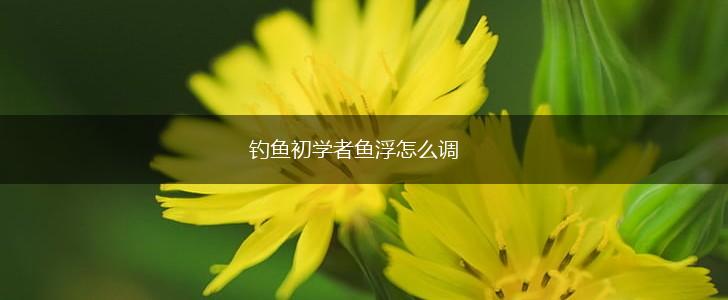 钓鱼初学者鱼浮怎么调,第1张