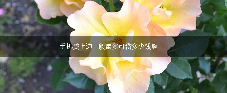 手机贷上边一般最多可贷多少钱啊,第1张