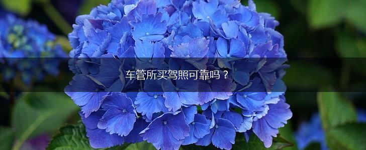 车管所买驾照可靠吗？,第1张