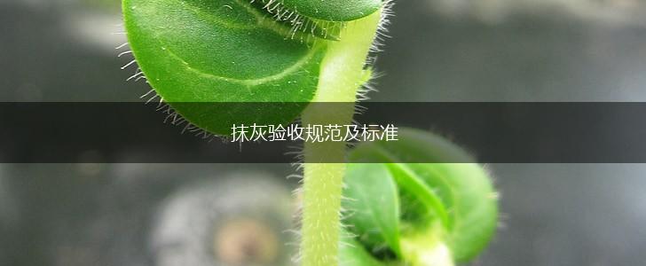 抹灰验收规范及标准,第1张