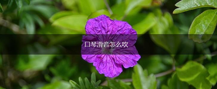 口琴滑音怎么吹,第1张