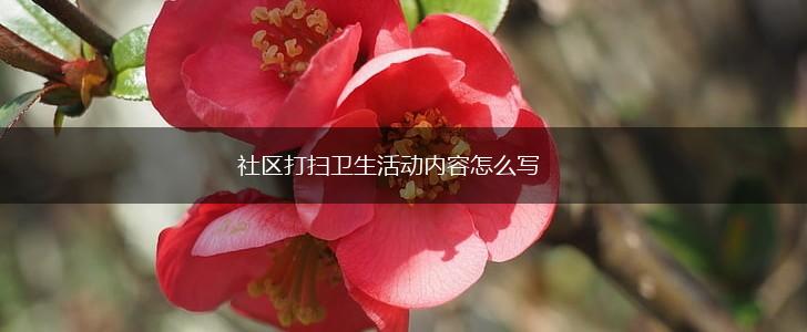 社区打扫卫生活动内容怎么写,第1张