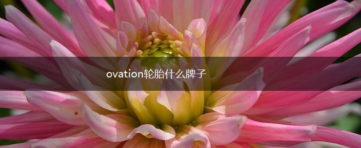 ovation轮胎什么牌子,第1张 ovation轮胎什么牌子,第1张