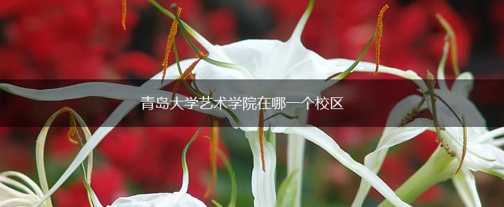 青岛大学艺术学院在哪一个校区,第1张