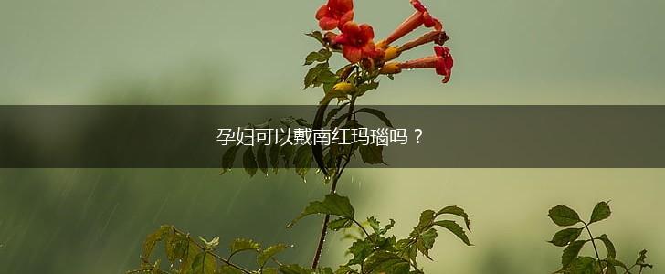 孕妇可以戴南红玛瑙吗？,第1张