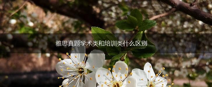 雅思真题学术类和培训类什么区别,第1张
