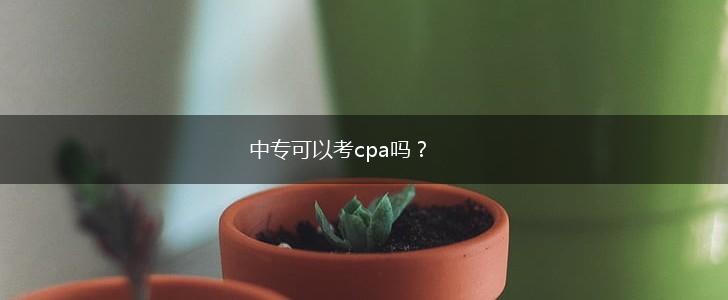 中专可以考cpa吗？,第1张