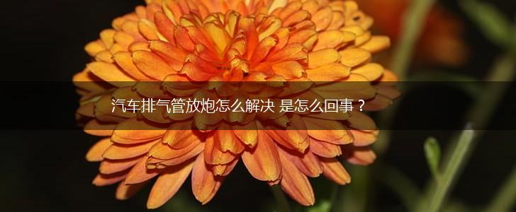 汽车排气管放炮怎么解决 是怎么回事？,第1张