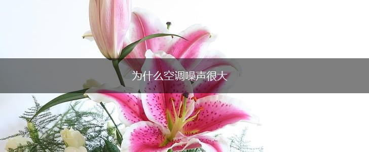 为什么空调噪声很大,第1张