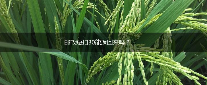邮政短扣30能返回来吗?,第1张 邮政短扣30能返回来吗?,第1张