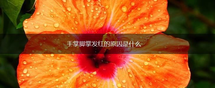 手掌脚掌发红的原因是什么,第1张