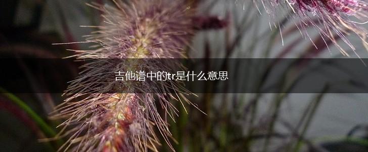 吉他谱中的tr是什么意思,第1张
