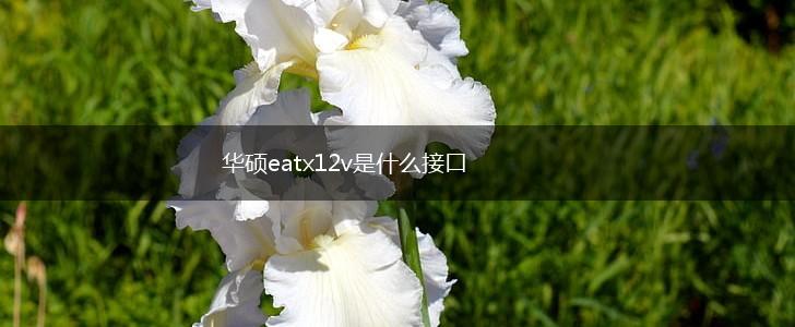 华硕eatx12v是什么接口,第1张