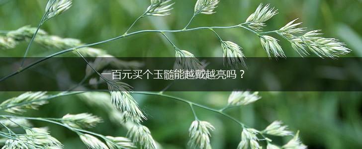 一百元买个玉髓能越戴越亮吗？,第1张