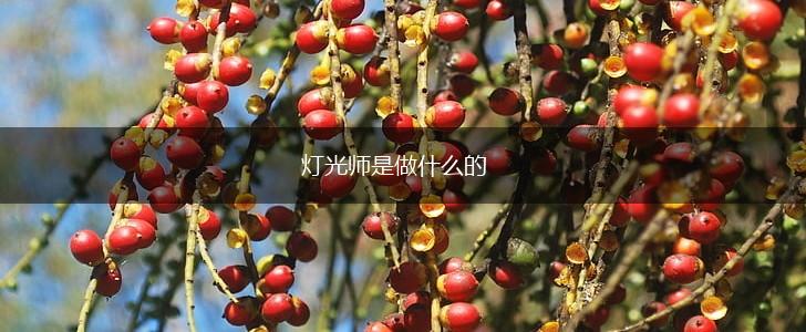 灯光师是做什么的,第1张