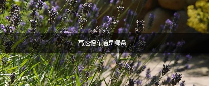 高速慢车道是哪条,第1张