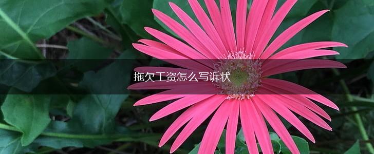 拖欠工资怎么写诉状,第1张