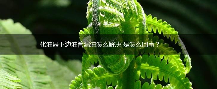 化油器下边油管漏油怎么解决 是怎么回事？,第1张