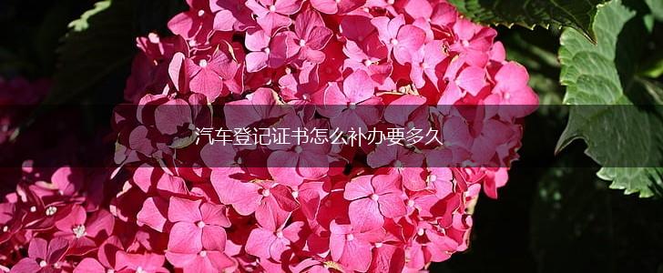 汽车登记证书怎么补办要多久,第1张