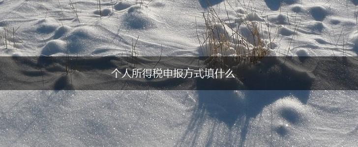 个人所得税申报方式填什么,第1张