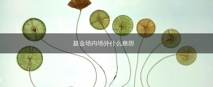 基金场内场外什么意思,第1张
