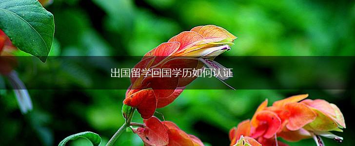 出国留学回国学历如何认证,第1张