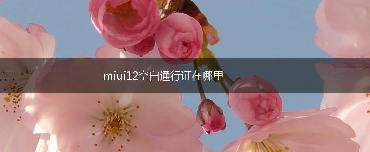 miui12空白通行证在哪里,第1张